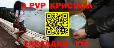 стафф Можга
