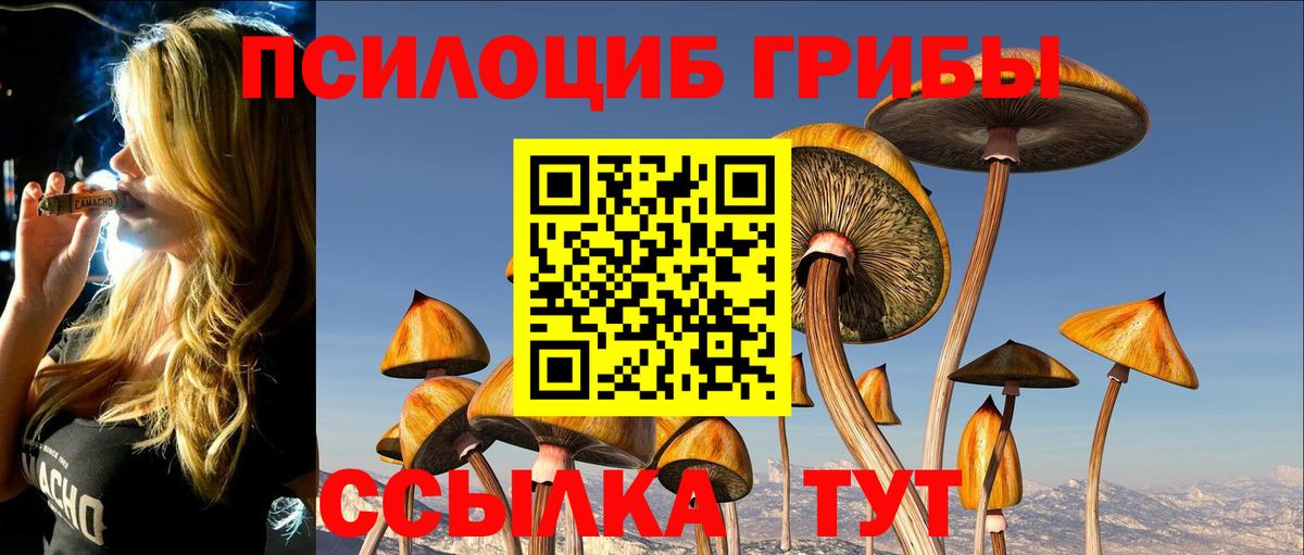 Псилоцибиновые грибы мухоморы  Вход с VPN  сколько стоит  Шали 