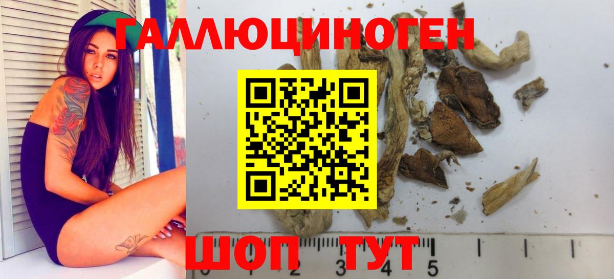 Галлюциногенные грибы ЛСД Шали
